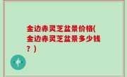 金边赤灵芝盆景价格(金边赤灵芝盆景多少钱？)
