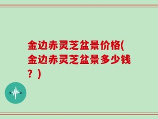 金边赤灵芝盆景价格(金边赤灵芝盆景多少钱？)