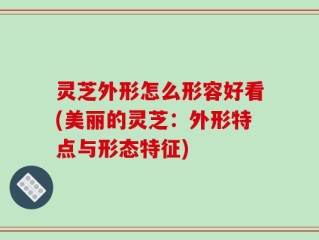 灵芝外形怎么形容好看(美丽的灵芝：外形特点与形态特征)