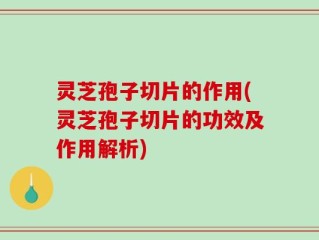 灵芝孢子切片的作用(灵芝孢子切片的功效及作用解析)