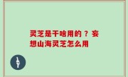 灵芝是干啥用的 ？妄想山海灵芝怎么用