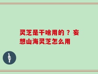 灵芝是干啥用的 ？妄想山海灵芝怎么用
