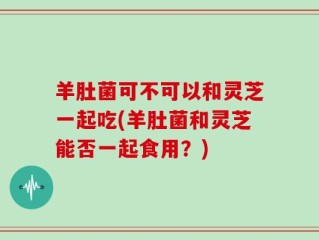 羊肚菌可不可以和灵芝一起吃(羊肚菌和灵芝能否一起食用？)