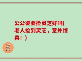 公公婆婆捡灵芝好吗(老人捡到灵芝，意外惊喜！)