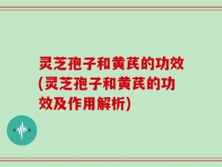 灵芝孢子和黄芪的功效(灵芝孢子和黄芪的功效及作用解析)