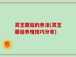 灵芝蘑菇的养法(灵芝蘑菇养殖技巧分享)