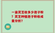一亩灵芝收多少孢子粉？灵芝种植孢子粉收成量分析？