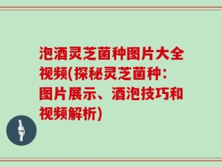 泡酒灵芝菌种图片大全视频(探秘灵芝菌种：图片展示、酒泡技巧和视频解析)