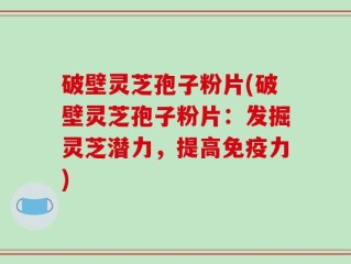 破壁灵芝孢子粉片(破壁灵芝孢子粉片：发掘灵芝潜力，提高免疫力)
