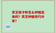 灵芝孢子粉怎么种植出来的？灵芝种植技巧分享？