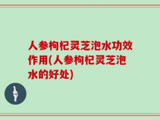 人参枸杞灵芝泡水功效作用(人参枸杞灵芝泡水的好处)