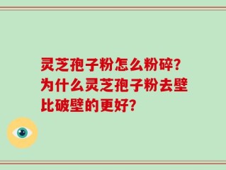 灵芝孢子粉怎么粉碎？为什么灵芝孢子粉去壁比破壁的更好？
