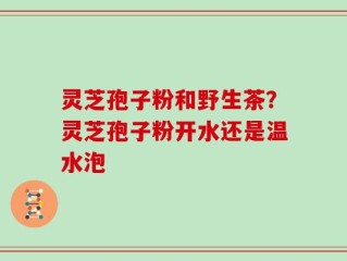 灵芝孢子粉和野生茶？灵芝孢子粉开水还是温水泡