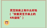 灵芝放床上有什么好处(“放置灵芝于床上的4大益处”)