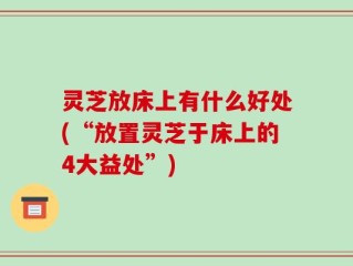 灵芝放床上有什么好处(“放置灵芝于床上的4大益处”)