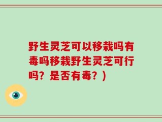 野生灵芝可以移栽吗有毒吗移栽野生灵芝可行吗？是否有毒？)
