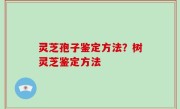 灵芝孢子鉴定方法？树灵芝鉴定方法
