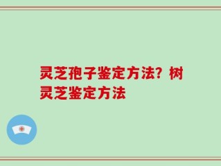 灵芝孢子鉴定方法？树灵芝鉴定方法