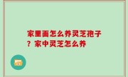 家里面怎么养灵芝孢子？家中灵芝怎么养