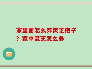 家里面怎么养灵芝孢子？家中灵芝怎么养