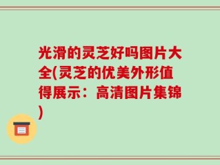 光滑的灵芝好吗图片大全(灵芝的优美外形值得展示：高清图片集锦)