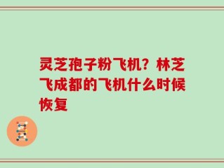 灵芝孢子粉飞机？林芝飞成都的飞机什么时候恢复