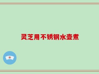 灵芝用不锈钢水壶煮