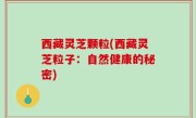 西藏灵芝颗粒(西藏灵芝粒子：自然健康的秘密)