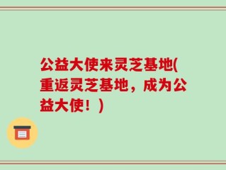公益大使来灵芝基地(重返灵芝基地，成为公益大使！)