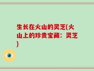 生长在火山的灵芝(火山上的珍贵宝藏：灵芝)
