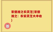 常德湘之农灵芝(常德湘之：农家灵芝大丰收)