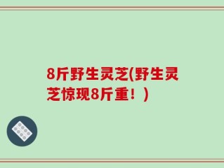 8斤野生灵芝(野生灵芝惊现8斤重！)