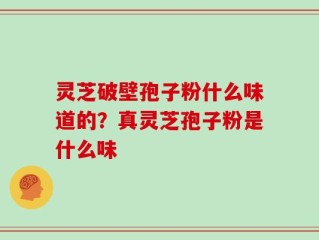 灵芝破壁孢子粉什么味道的？真灵芝孢子粉是什么味