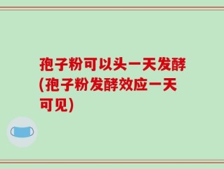 孢子粉可以头一天发酵(孢子粉发酵效应一天可见)