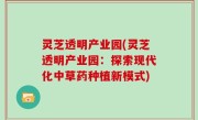 灵芝透明产业园(灵芝透明产业园：探索现代化中草药种植新模式)
