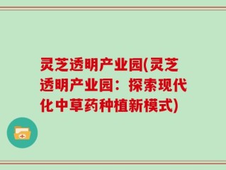 灵芝透明产业园(灵芝透明产业园：探索现代化中草药种植新模式)