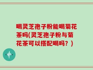喝灵芝孢子粉能喝菊花茶吗(灵芝孢子粉与菊花茶可以搭配喝吗？)