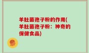 羊肚菌孢子粉的作用(羊肚菌孢子粉：神奇的保健食品)