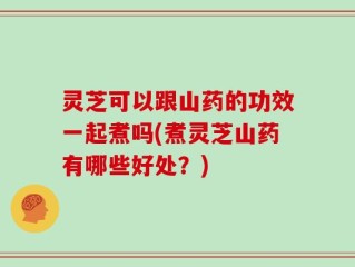 灵芝可以跟山药的功效一起煮吗(煮灵芝山药有哪些好处？)