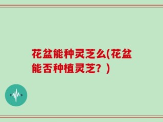 花盆能种灵芝么(花盆能否种植灵芝？)