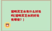猪喝灵芝水有什么好处吗(猪喝灵芝水的好处有哪些？)