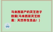 马来西亚产的灵芝孢子胶囊(马来西亚灵芝胶囊：天然养生圣品！)