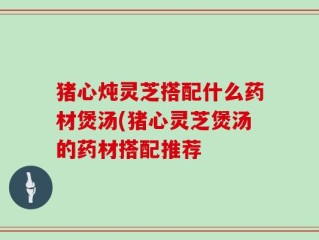 猪心炖灵芝搭配什么药材煲汤(猪心灵芝煲汤的药材搭配推荐
