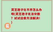 灵芝孢子化不开怎么办呀(灵芝孢子无法分散？试试这些方法解决！)