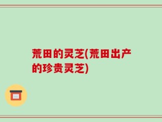 荒田的灵芝(荒田出产的珍贵灵芝)