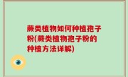 蕨类植物如何种植孢子粉(蕨类植物孢子粉的种植方法详解)
