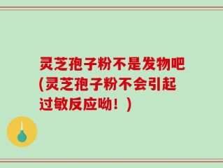 灵芝孢子粉不是发物吧(灵芝孢子粉不会引起过敏反应呦！)