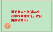 灵芝高二小学(高二生在学校里种灵芝，收获健康和知识)