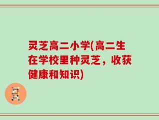 灵芝高二小学(高二生在学校里种灵芝，收获健康和知识)