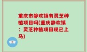 重庆市静欢镇有灵芝种植项目吗(重庆静欢镇：灵芝种植项目现已上马)